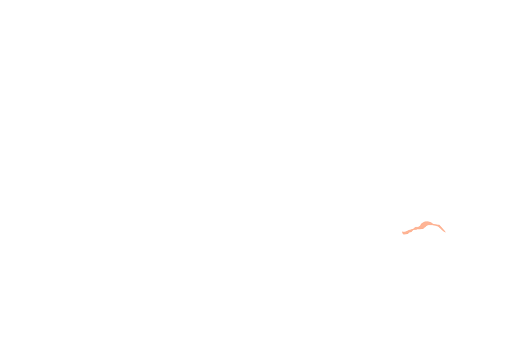 Usagi