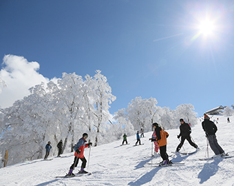 スノースポーツ安全基準