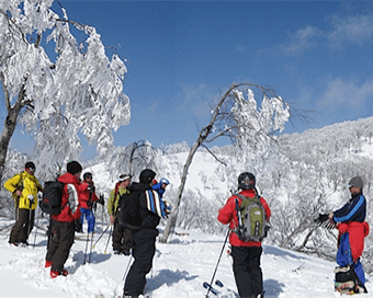 バックカントリーツアー