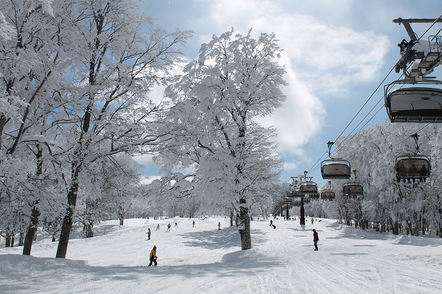 Nozawa Onsen