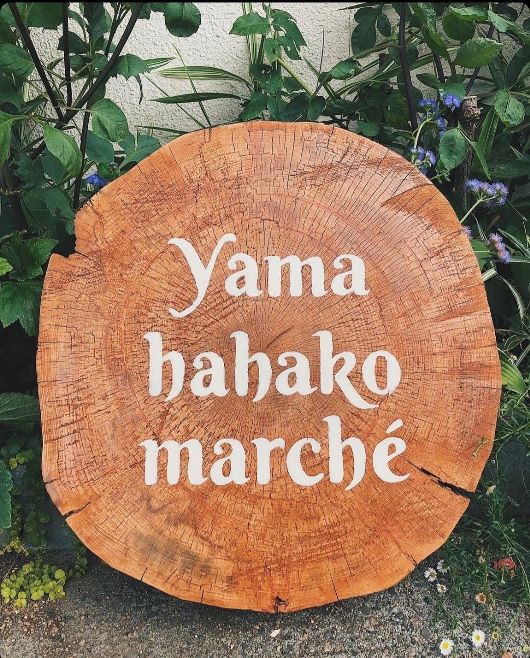 Yamahahako march’e