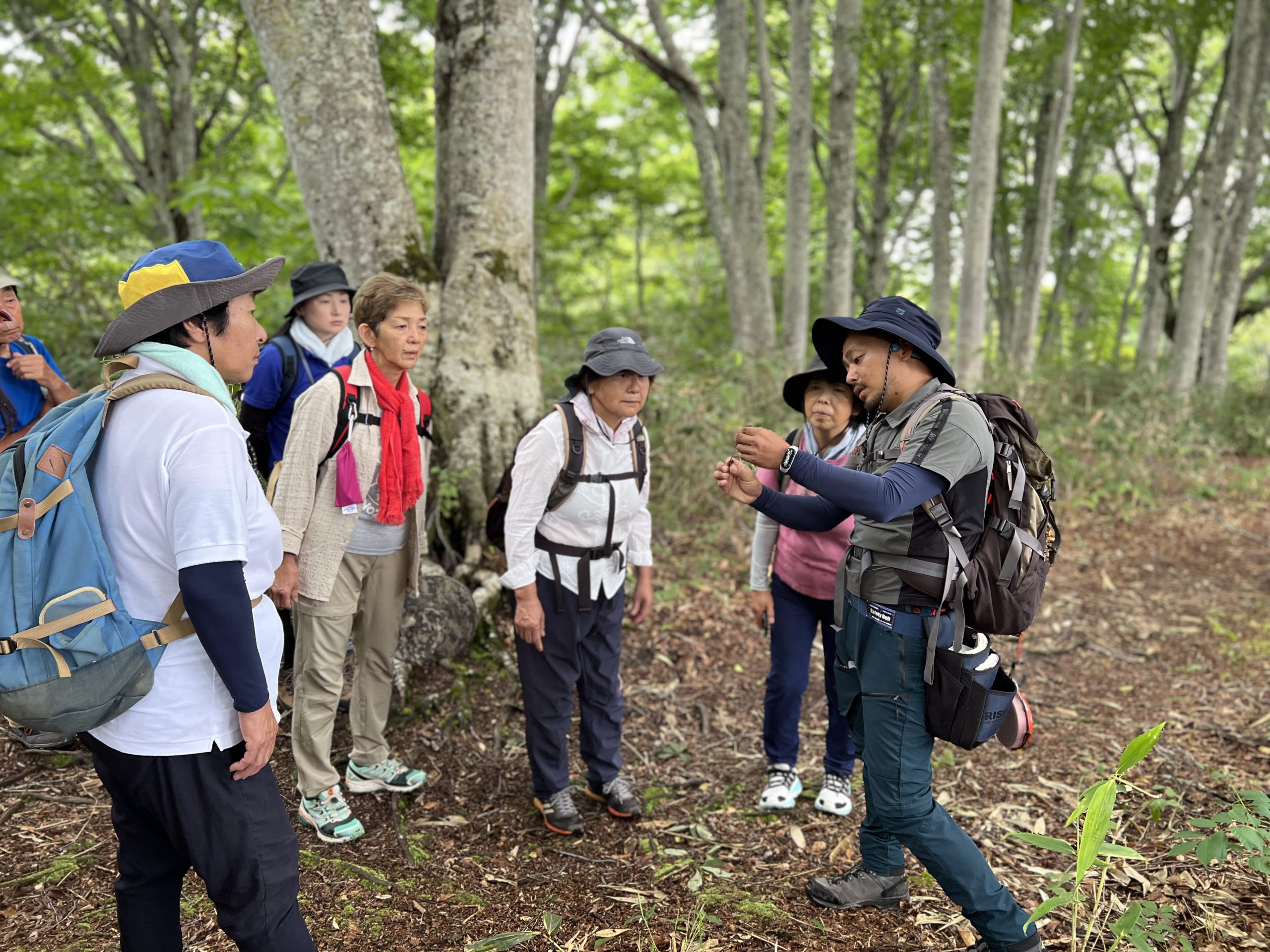 9/9🍃樹木医と野沢の山を歩き、学ぶ。植物観察トレッキングツアー開催！