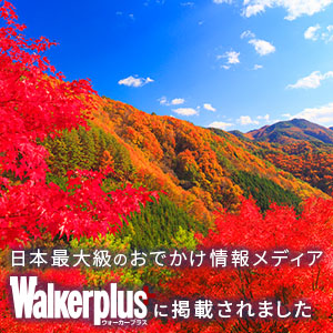 ◆Walker Plusの紅葉特集に掲載されました！